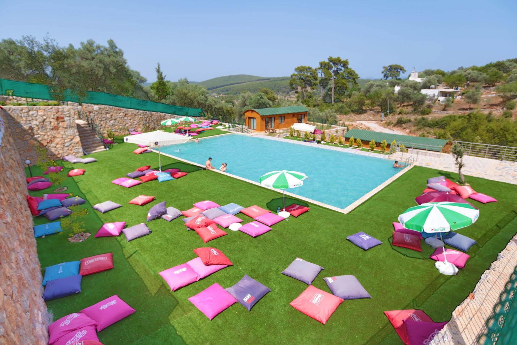 Tomato Willa Bodrum